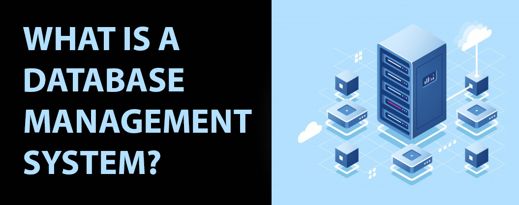 Database Management Software