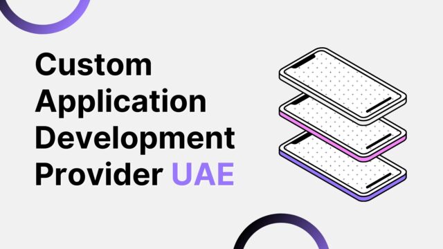 Custom Business Application Development Services UAE
